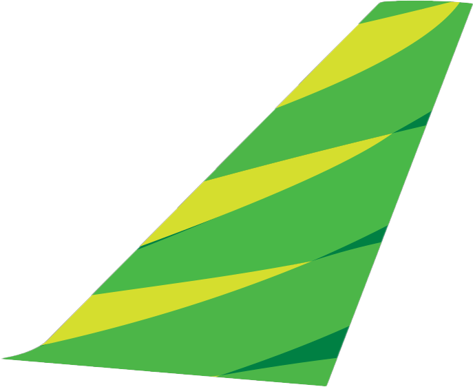 Citilink tail fin
