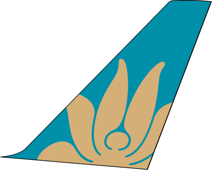 Vietnam Airlines tail fin